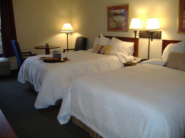 Wyndham Garden Greenville / Spartanburg Airport חדר תמונה